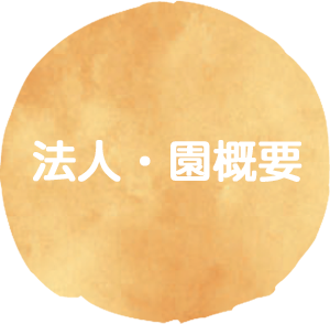 法人概要